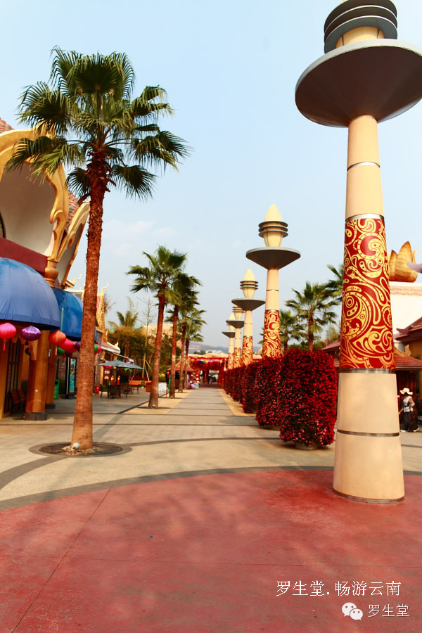 云南旅游攻略必去吃的美食有哪些,云南吃些什么特色美食