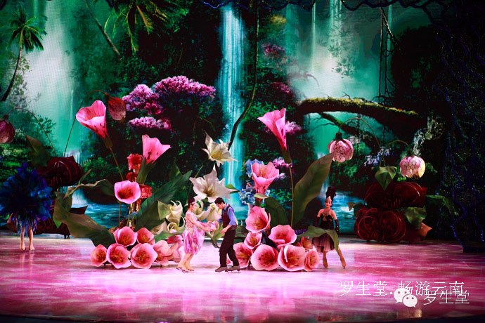 云南旅游攻略必去吃的美食有哪些,云南吃些什么特色美食