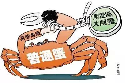 重庆十大虚假案例,重庆商品假货识别