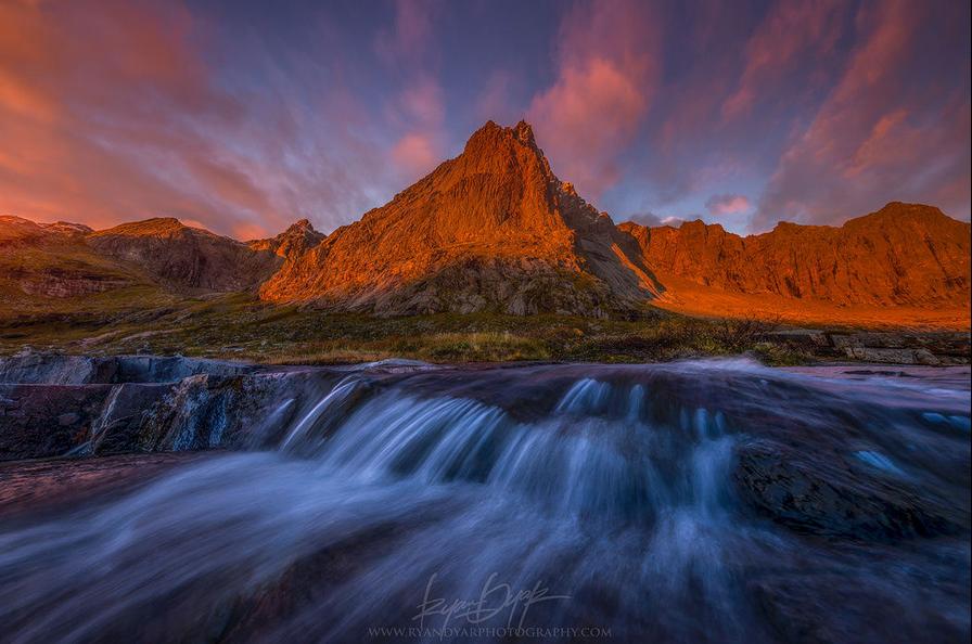 姊︿腑绉樺,姊﹂噷绉樺