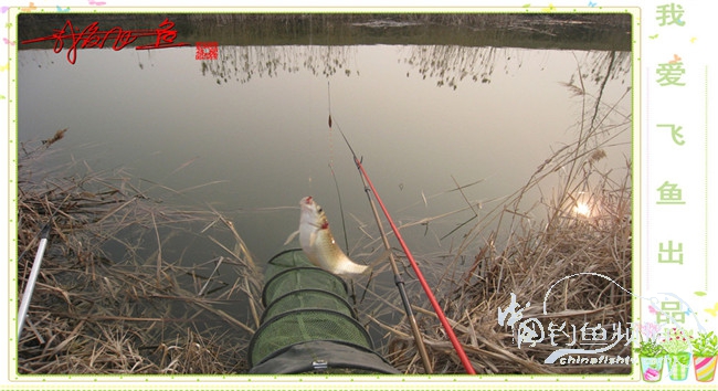 2016之我爱飞鱼觅得好钓点