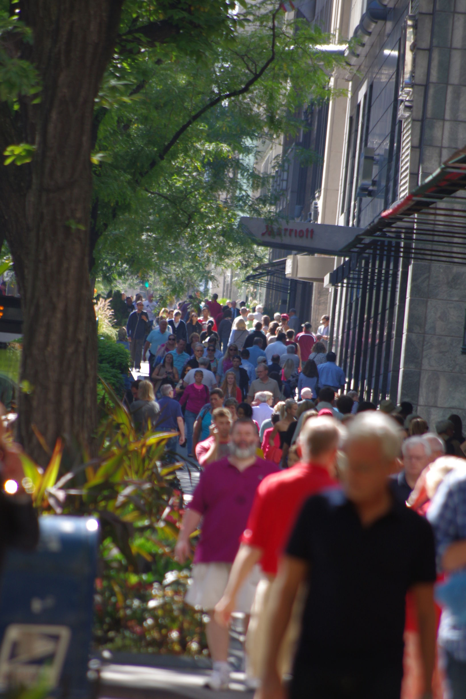 芝加哥一日游最佳路线,芝加哥坐船攻略旅游路线
