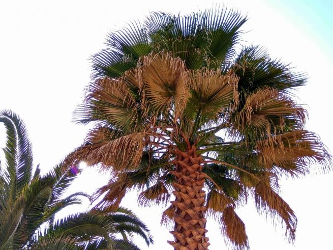 红米note3的拍照方法,红米note3不亮