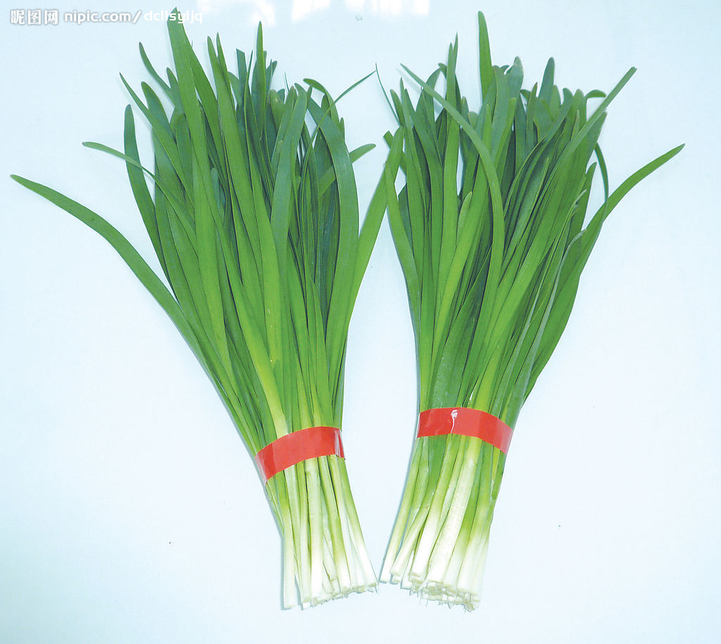 又是一年春吃野菜的季节,春天的第一茬韭菜到底能不能吃