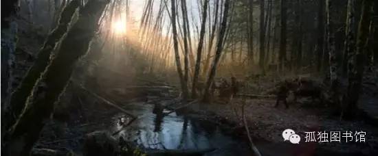 小李子来北京，《荒野猎人》小说你看了吗？