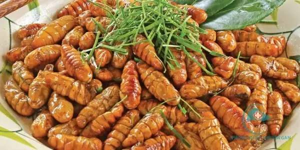 春蚕到死丝方尽整句诗,春蚕到死丝方尽图片