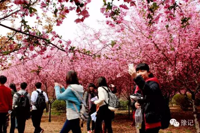 郑州国立西郊公园怎么进去,国立郑州西郊公园