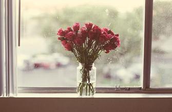 失恋后如何恢复心理态势,失恋后如何重头恋爱