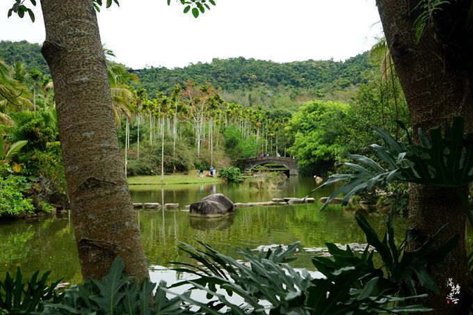 呀诺达，拾起我童年记忆的热带雨林
