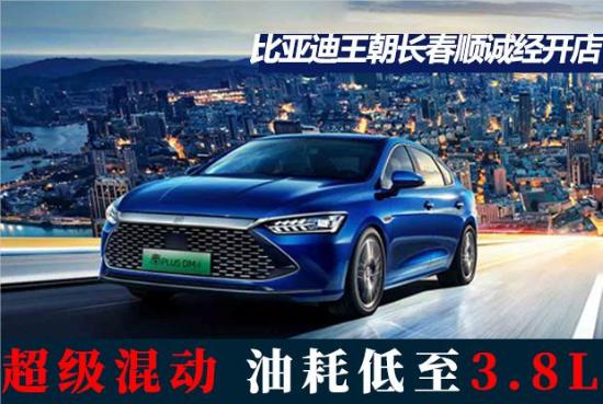 钜惠狂欢火热开启,顺诚比亚迪双11狂欢盛典