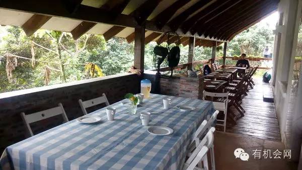 疗愈人的慧灵农场：一群很简单的人，在这里快乐、自在地生活