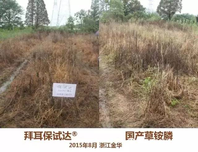 拜耳保试达,拜耳保仕达草铵膦