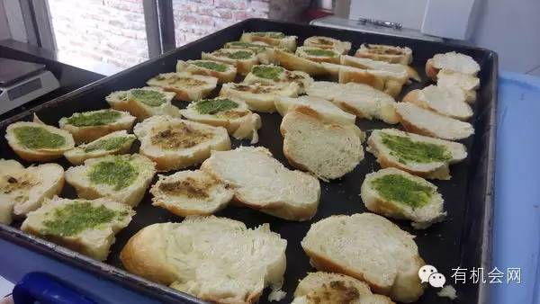 疗愈人的慧灵农场：一群很简单的人，在这里快乐、自在地生活