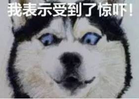 熊黛林顶着天王嫂头衔,熊黛林惊艳登场众人尖叫不断