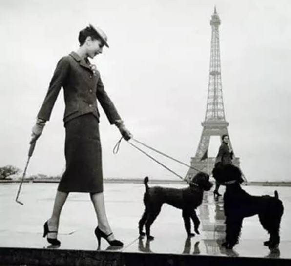 现在有什么夏天穿的好看的小白鞋 (有什么好看的百搭小白鞋)