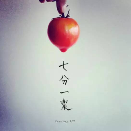 “1/7农”：如果每周只能下地一天，那就试试“懒人务农法”吧