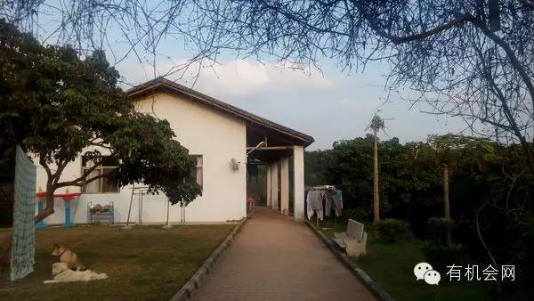 疗愈人的慧灵农场：一群很简单的人，在这里快乐、自在地生活