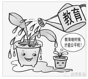 河北省有多少位人大代表,河北的人大代表