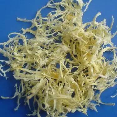 癌细胞的克星食物,癌的克星是什么能杀癌细胞