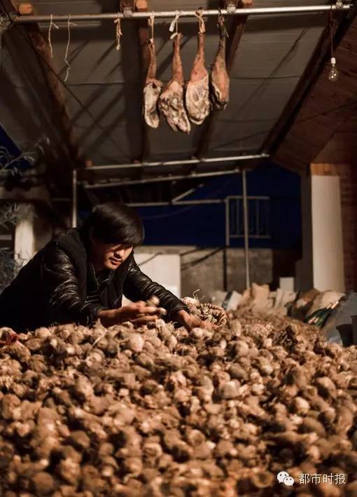 玛卡价格暴跌到多少钱一斤,玛卡跌下神坛