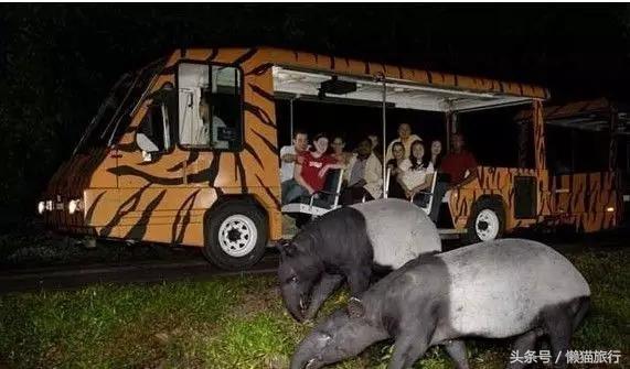 泰国最新购物必买清单攻略,泰国旅游必买品泰国面霜