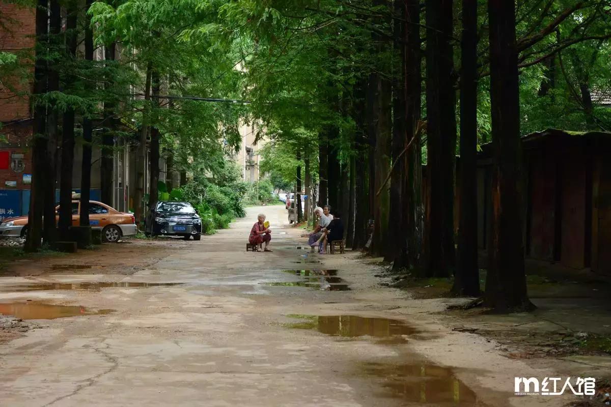 在株洲生活是种什么体验,在株洲生活