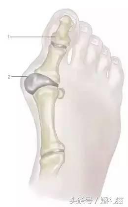 不会穿高跟鞋的怎么选婚鞋,婚鞋必须穿一天么