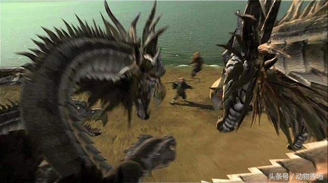 封神榜哮天犬是哪个品种的狗,天狗食月的狗是哮天犬么