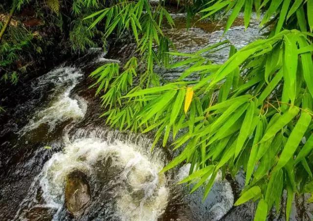 四川有没有凉快的地方,四川很凉快吗