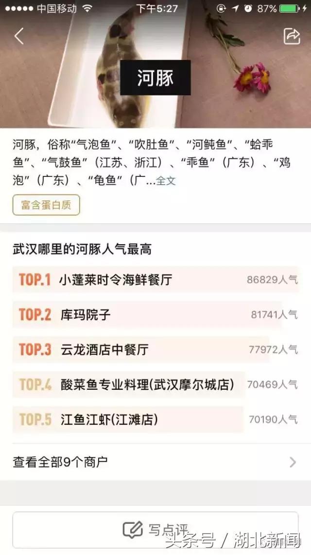 中国十大毒性最强动物,十大最强剧毒动物