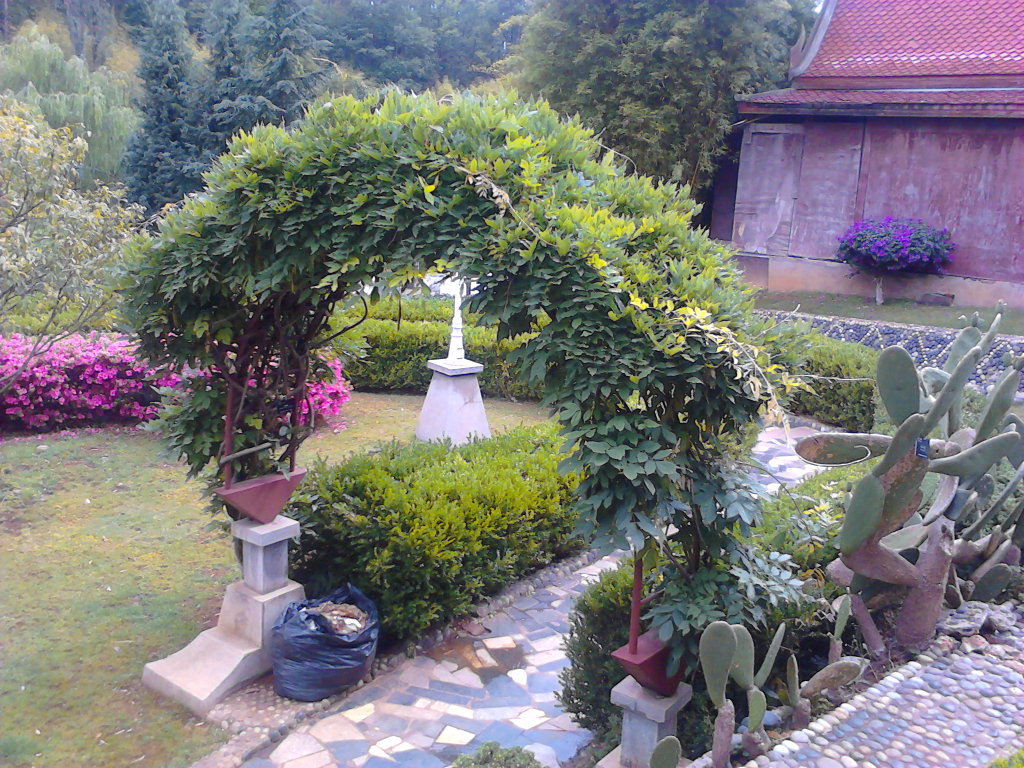 有一个追星的老婆怎么办,有个追星的老婆的好处