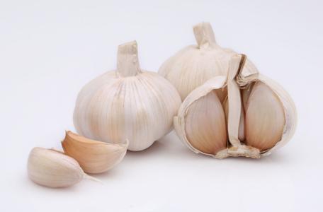 怎么去除月季上的蚜虫,如何消灭月季蚜虫小妙招