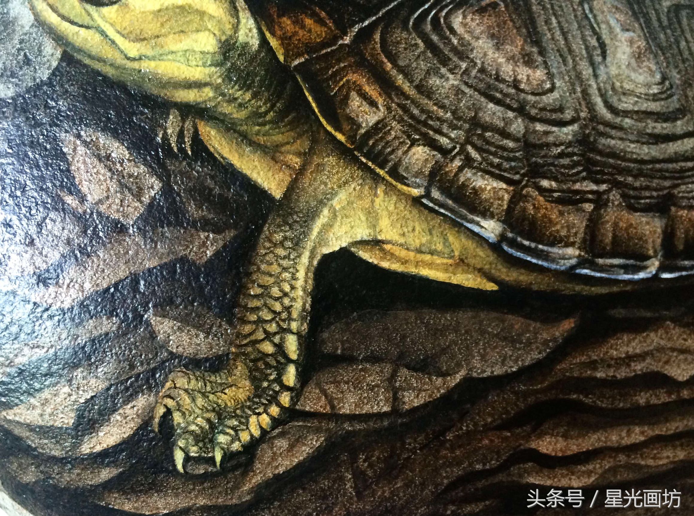 石头上画乌龟教程,龟石头画教程