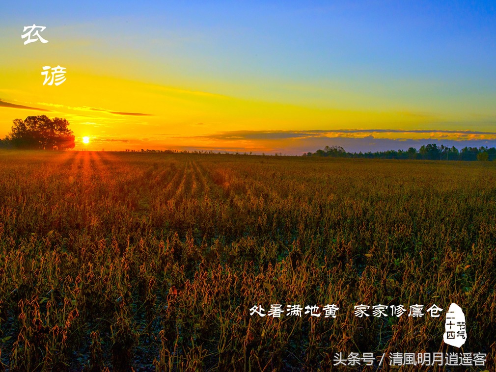 有关二十四节气处暑古诗词,处暑节气农谚