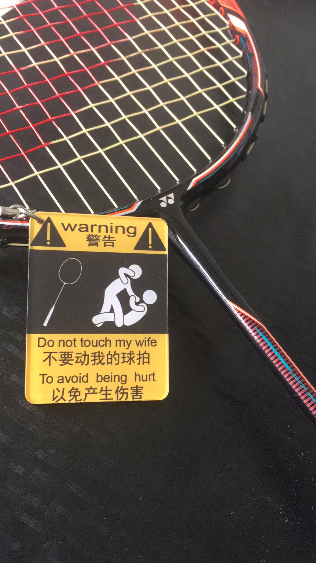 风萧萧兮易水寒下句答案,风萧萧兮易水寒打一生肖