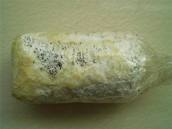 用盆种蘑菇,种蘑菇用的材料可以养花