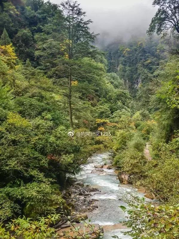 四川有没有凉快的地方,四川很凉快吗
