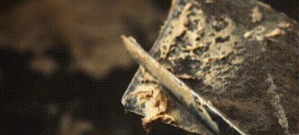 农村老头用动物内脏做手工皂，竟是300年前宫廷技艺，皴裂有救