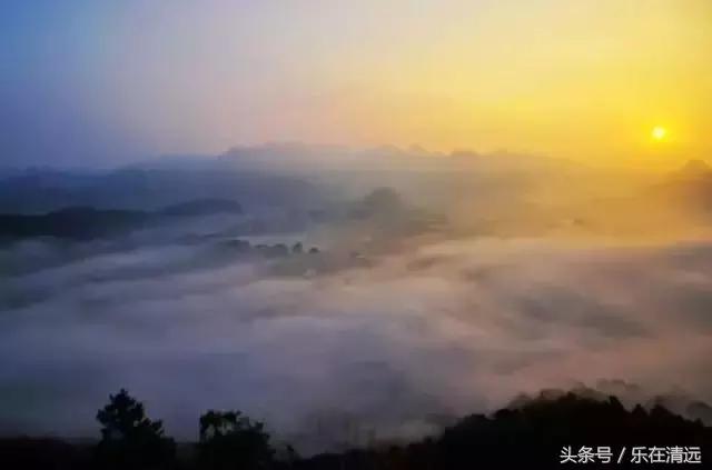 我读书多不会骗你,我读书多不骗你表情包