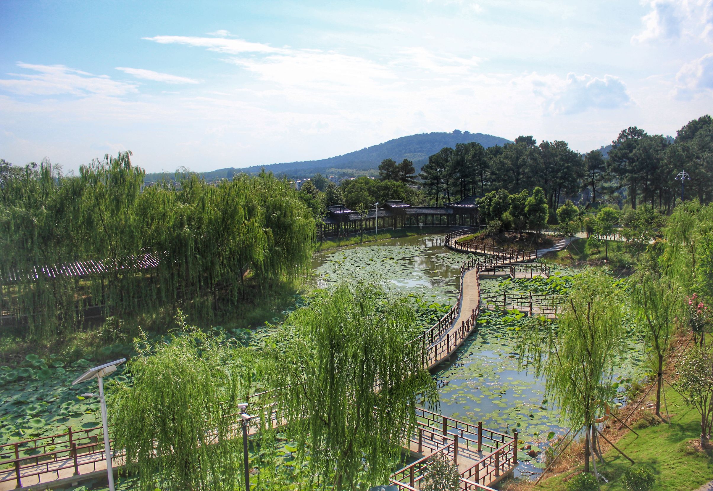 高淳最美的小镇,高淳得半庄园地址