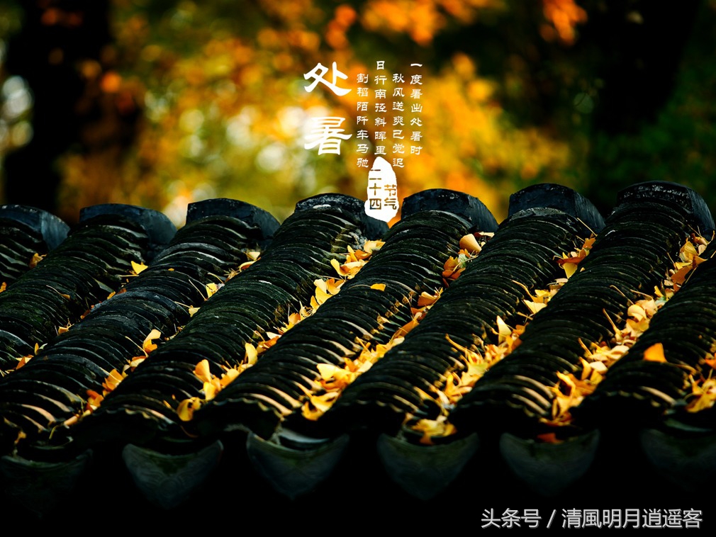 有关二十四节气处暑古诗词,处暑节气农谚