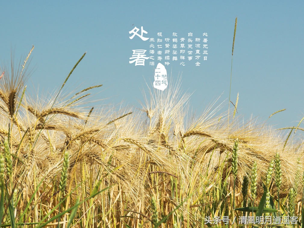 有关二十四节气处暑古诗词,处暑节气农谚