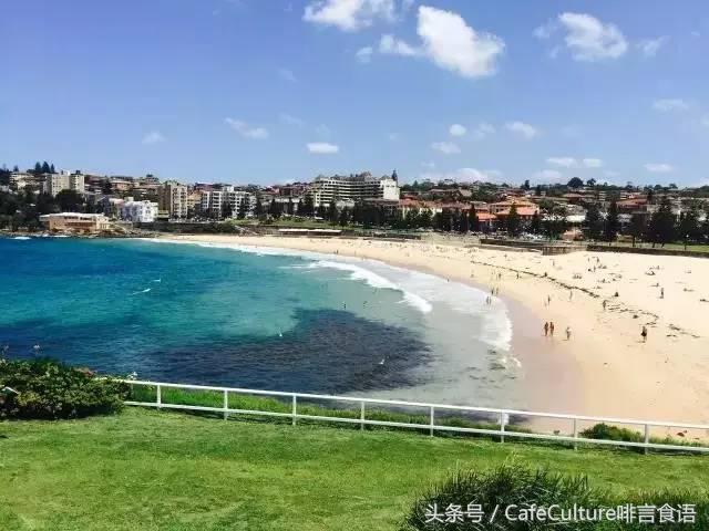 11月20-28日｜邀您参加澳大利亚金豆杯咖啡餐饮之旅