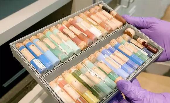 桌边社20170821：你是犯什么事进来的？挑食