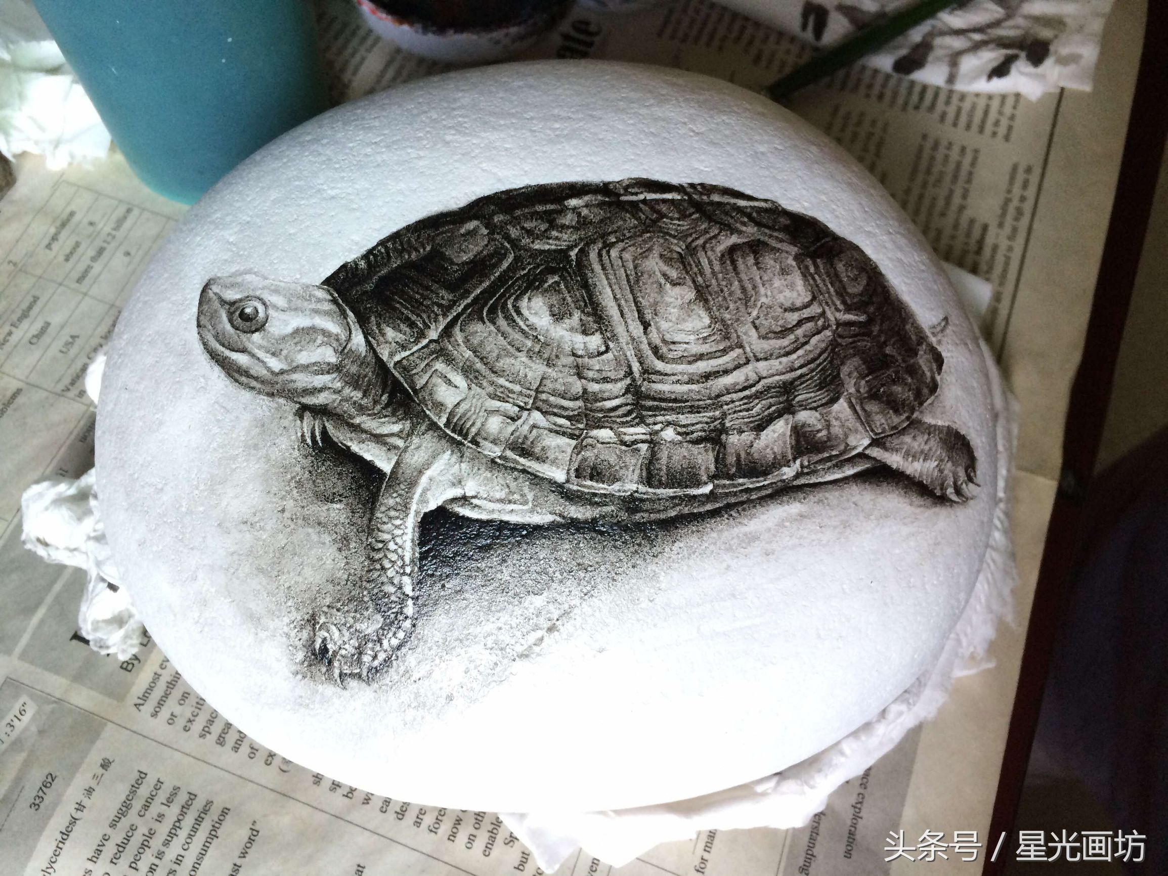石头上画乌龟教程,龟石头画教程