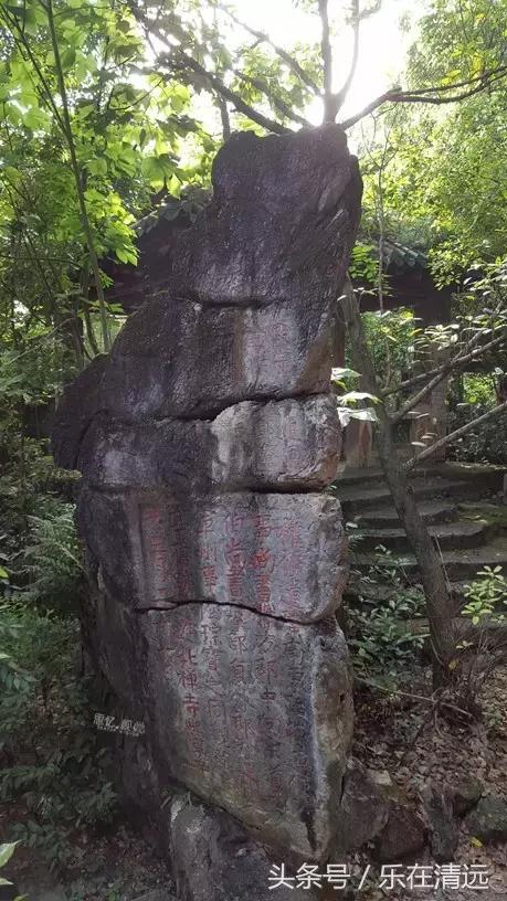 我读书多不会骗你,我读书多不骗你表情包