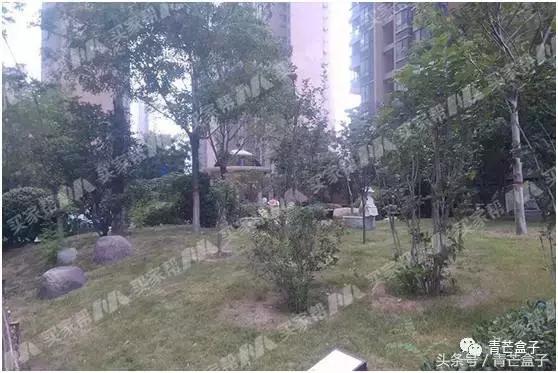 郑州锦艺四季城最新消息,郑州锦艺四季城七期怎么样