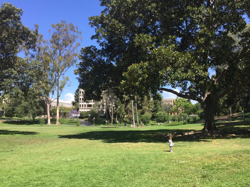 美国尔湾公园规划,美国小镇规划