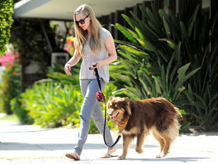 能让狗狗开心的话,让狗狗开心的几句话有哪些