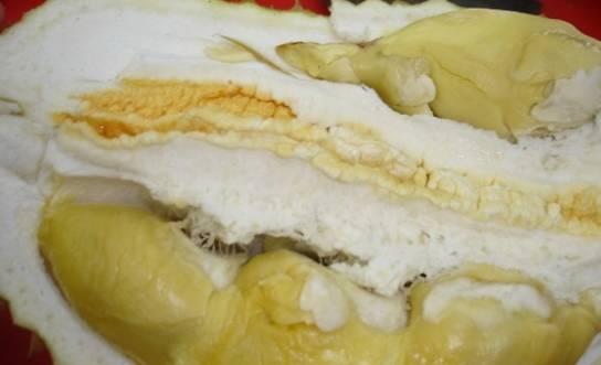 马来西亚各种榴莲名称,马来榴莲品种介绍